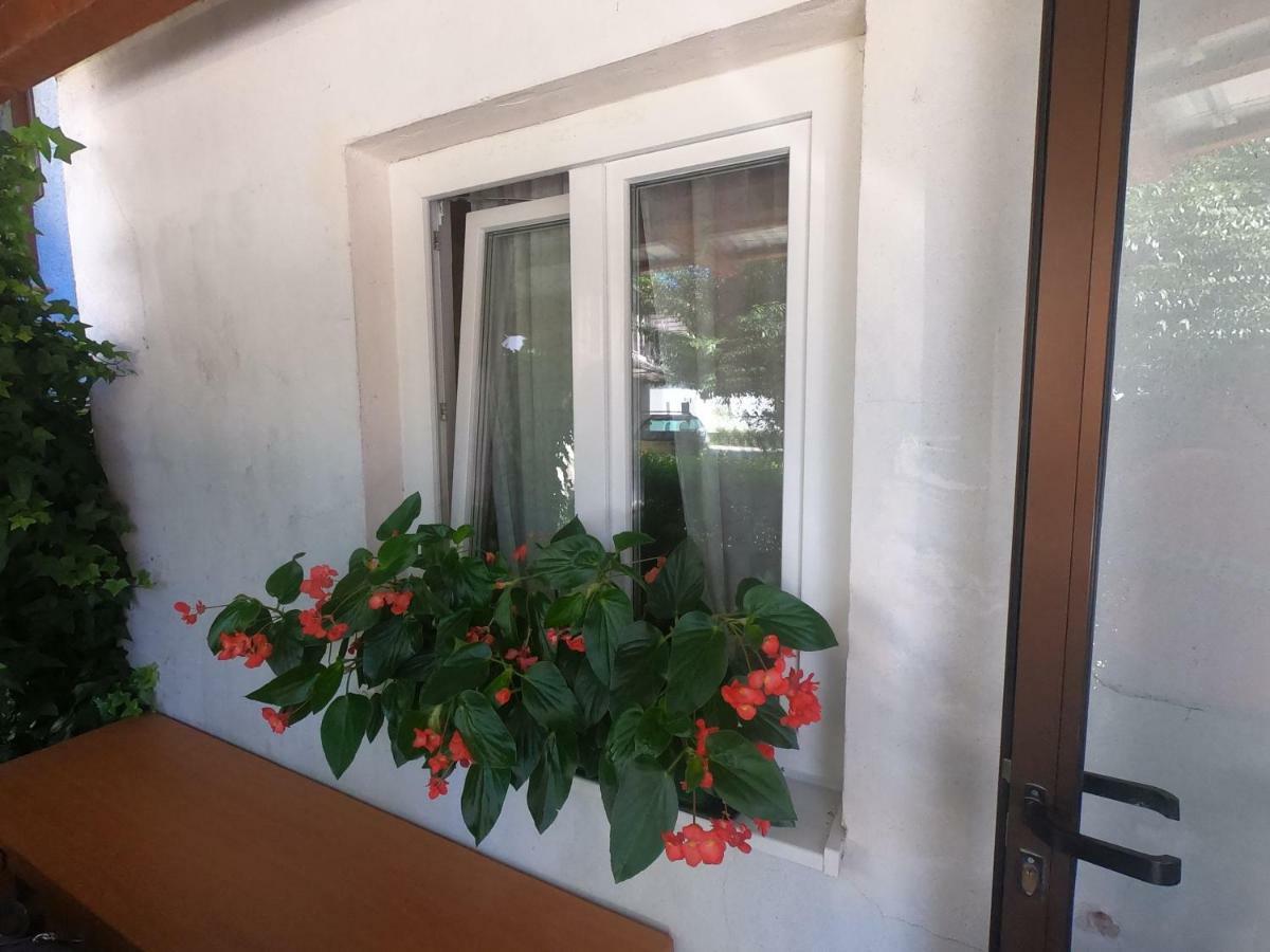 Apartament Fontana Bovec Zewnętrze zdjęcie